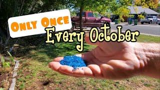 Only ONE Lawn Application PER YEAR | Do This