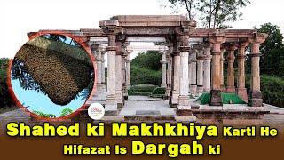 Shahed Ki Makhkhiya Karti he Hifazat is Dargah ki I Patan Dargah