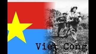 Viet Cong (Nation liberation front) action combat footage