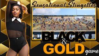 Sensational Stingettes: Black & Gold Game 2025