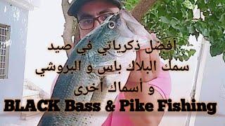 أفضل الذكريات لصيد سمك البلاك باس Black Bass fishing  و سمك البروشي الزنجور  Pike & Carp Fishing