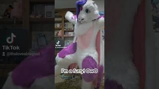 Always be yourself!  #furry #furs #cosplay #furr #furriesforever #furries #furriesoftiktok