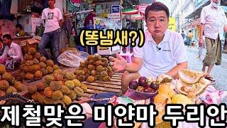 이렇게 맛있는데? 두리안이 넘쳐나는 미얀마 시장에서 제철 두리안 먹기 | Myanmar Durian Market | မြန်မာဒူးရင်းသီးMukbang