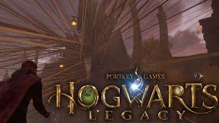 Bugwarts Lagacy | Bugs, Glitches and Funny Moments | Hogwarts Legacy | PC 1440p