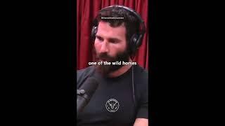 Dan Bilzerian Chinese Farmer Story | The Motivation Center