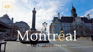 Montréal City Virtual Walking Tour - Montréal Streets, Québec, Canada | 4K Relaxing Music