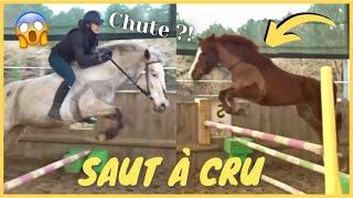 [COURS] Saut d'obstacles à cru et Dream saute 1 mètre  ! 20/02/21 - CS'o Landreau