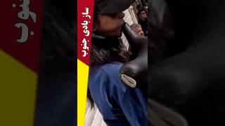 هنر و اصالت | اجرای یک دختر نوازنده در ۱۵ خرداد تهران #ایران_پیما
