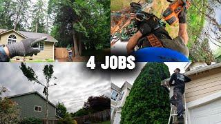 A Day In The Life Of A Tree Service Worker