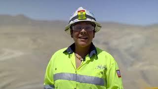 Business Commercial Nevada Gold Mines Operator Allie McDade