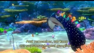 Finding Nemo - Mr. Ray