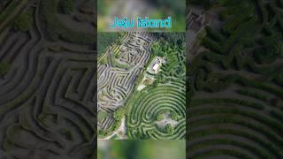 Mazeland Jeju #korea #travel #beautiful #sceneryl #shorts #shortvideo