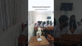 saaala nirdosh tha #batman #funny #brainrot #bestmemes #anime #subscribe #memes #dog #exam