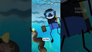 The great eel mystery..