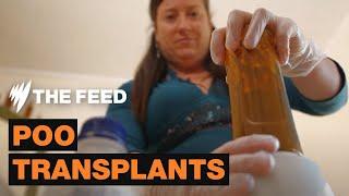 Using poo transplants to cure mental illness | Short Documentary | SBS The Feed
