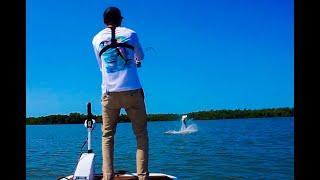 Giant Everglades Tarpon Fishing(Light Tackle)