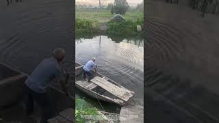 Old Man Spears A Big Fish With Homemade Spear !