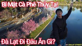 Đà Lạt Bí Mật Cà Phê Thủy Tạ, Đi Đâu Ăn Gì Cùng Thổ Địa