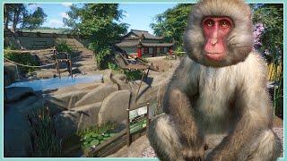Japanese Macaque Habitat | Mayberry Park Zoo | Planet Zoo Speed Build