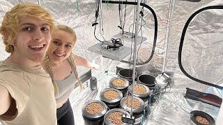 How to plan hydroponic farm at home (Vlog) setting up our new 8x8 indoor hydroponic garden grow tent