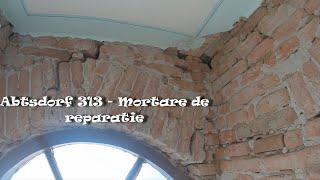 Abtsdorf 313 - Mortare de reparatie