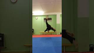 #единоборства #вандамм #martialarts #сальто