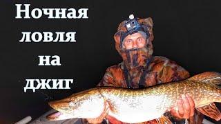 НОЧНАЯ РЫБАЛКА/ЛОВЛЯ СУДАКА И ЩУКИ НА ДЖИГ/НОЧНОЙ СУДАК/р.ВОЛГА