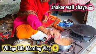 Village Life Morning Vlog  Pakistani village Women Life | Panjabi family Vlog/ Noor life with kids