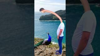 Artificial #peacock water transport to rescue drought specialeffect #funny#vfx #youtubeshorts #viral