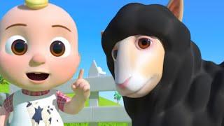 Baa Baa Black Sheep Song | Classic Nursery Rhyme for Kids |