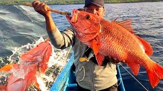 Predator buas habis melibas Umpan saat merawai ikan Monster, Mukbang bersama Tim Futsal Daeng Lala