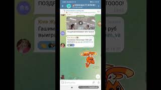 ДВИЖУХИ В НАШЕЙ КОМАНДЕ. 