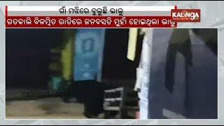 Bear enters rural area in Odisha's Jeypore | Kalinga TV