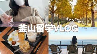 JP/KR【韓国留学VLOG】秋の釜山とおすすめカフェ️l 가을 부산