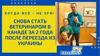 Когда всё - не зря! Снова стать ветеринаром в Канаде спустя 2 года после переезда!