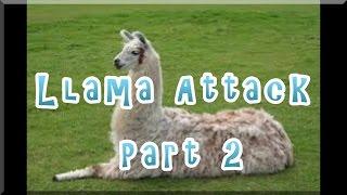 Llama Attack Part 2