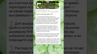 рекомендации по уходу и выращиванию рассады огурцов.
