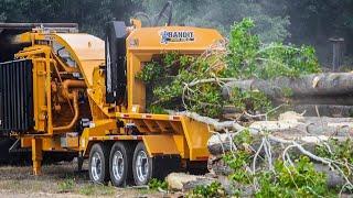 Incredible Powerful Wood Chipper Machines, Extremely Fast Monster Tree Shredder Machines Work