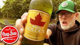 Molson Golden Canadian Beer Review | Beers from Canada by A Beer Snob's Cheap Brew Review