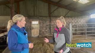 Suckler Farmer, Karen Moynihan, is ready for her Bord Bia Inspection with the Herdwatch App