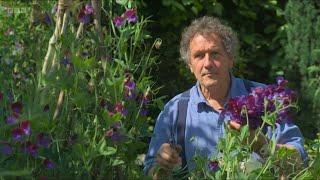 Gardeners World Eps 18 Full