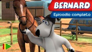 BERNARD BEAR - 133 | Episodio completo |