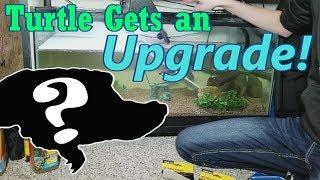 Setting up New and Improved Turtle Tanks!