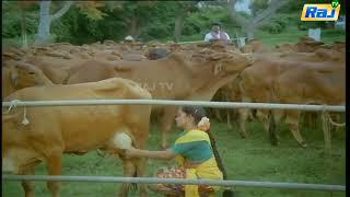 Cow Milking Actress Tamil