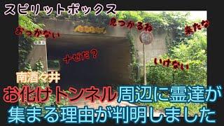 【スピリットボックス】お化けトンネル周辺に霊達が集まる理由は○○があるからだと判明しました