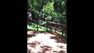 Becky does the zipline