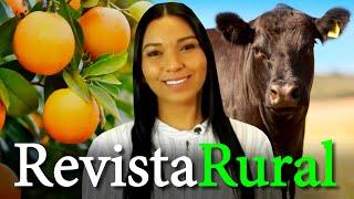 PROGRAMA REVISTA RURAL - 24/09/2023