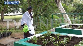 WATCH: See The Vegetables First Lady Oluremi Tinubu Uses To Cook For President Bola Tinubu