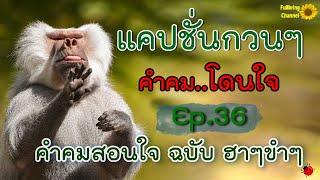 แคปชั่นกวนๆ คำคมโดนใจ Ep.36 คำคมสอนใจฉบับฮาๆขำๆ