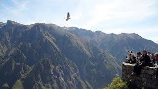 Colca Canyon / Tourist Attractions - History and Origin